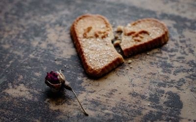 Of Cattle Crossings, Barbed Wire, and Cuddle Corners