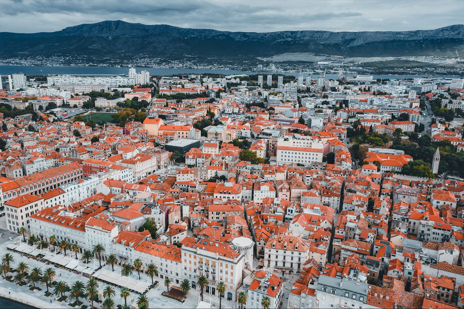 pexels-lucian-potlog-5984680 copy